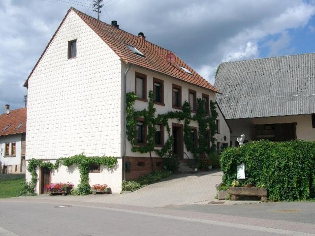 Zucht- Und Ausbildungsstall Rubly Kleinbundenbach Kültér fotó